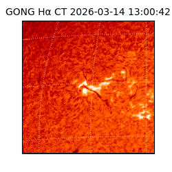 gong - 2026-03-14T13:00:42