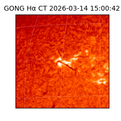 gong - 2026-03-14T15:00:42