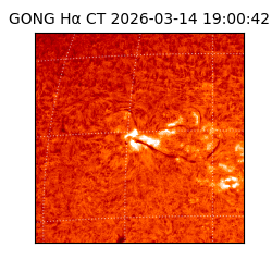 gong - 2026-03-14T19:00:42