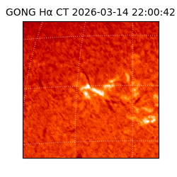 gong - 2026-03-14T22:00:42