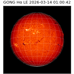gong - 2026-03-14T01:00:42