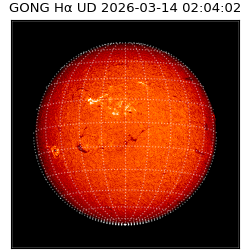 gong - 2026-03-14T02:04:02