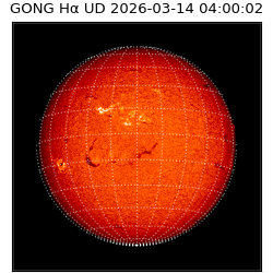 gong - 2026-03-14T04:00:02