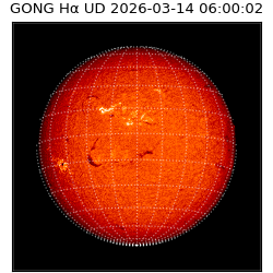 gong - 2026-03-14T06:00:02