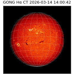 gong - 2026-03-14T14:00:42