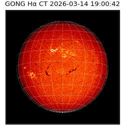 gong - 2026-03-14T19:00:42