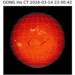 gong - 2026-03-14T22:00:42