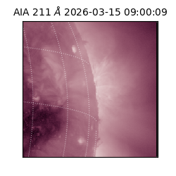 saia - 2026-03-15T09:00:09.632000