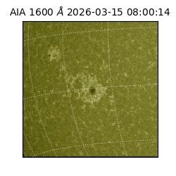 saia - 2026-03-15T08:00:14.123000