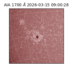 saia - 2026-03-15T09:00:28.446000