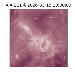 saia - 2026-03-15T23:00:09.623000