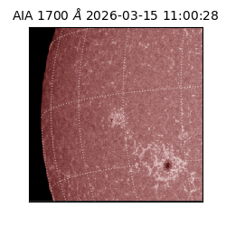 saia - 2026-03-15T11:00:28.449000