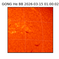 gong - 2026-03-15T01:00:02