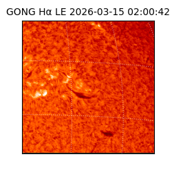 gong - 2026-03-15T02:00:42