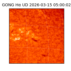 gong - 2026-03-15T05:00:02