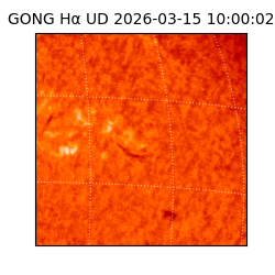 gong - 2026-03-15T10:00:02