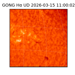 gong - 2026-03-15T11:00:02