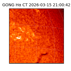 gong - 2026-03-15T21:00:42