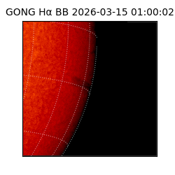 gong - 2026-03-15T01:00:02