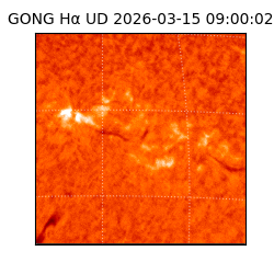 gong - 2026-03-15T09:00:02