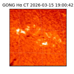 gong - 2026-03-15T19:00:42