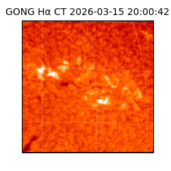 gong - 2026-03-15T20:00:42