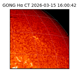 gong - 2026-03-15T16:00:42