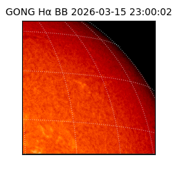 gong - 2026-03-15T23:00:02