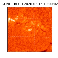 gong - 2026-03-15T10:00:02
