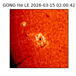 gong - 2026-03-15T02:00:42