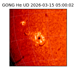 gong - 2026-03-15T05:00:02