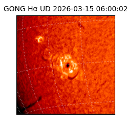 gong - 2026-03-15T06:00:02