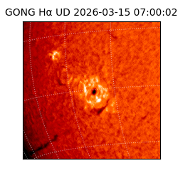 gong - 2026-03-15T07:00:02