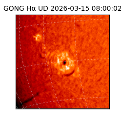 gong - 2026-03-15T08:00:02