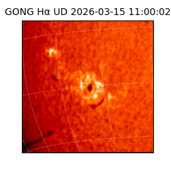 gong - 2026-03-15T11:00:02