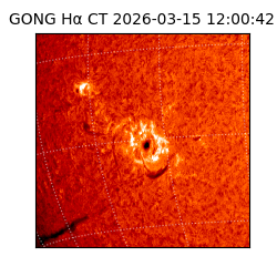 gong - 2026-03-15T12:00:42