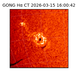 gong - 2026-03-15T16:00:42