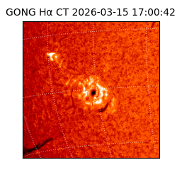 gong - 2026-03-15T17:00:42