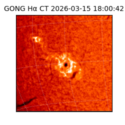 gong - 2026-03-15T18:00:42