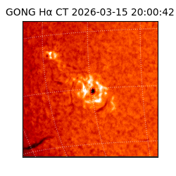 gong - 2026-03-15T20:00:42