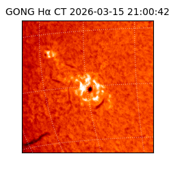 gong - 2026-03-15T21:00:42