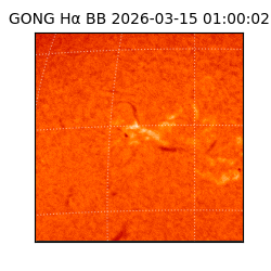 gong - 2026-03-15T01:00:02