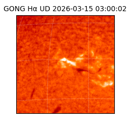 gong - 2026-03-15T03:00:02