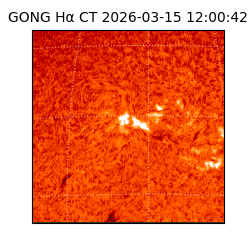 gong - 2026-03-15T12:00:42