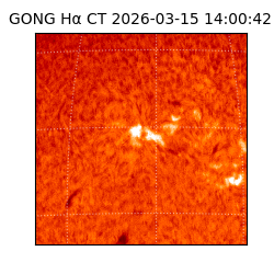 gong - 2026-03-15T14:00:42