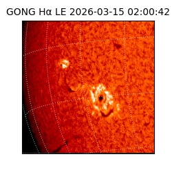 gong - 2026-03-15T02:00:42