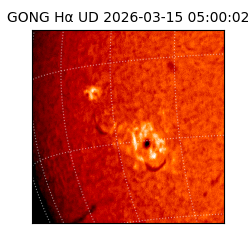 gong - 2026-03-15T05:00:02