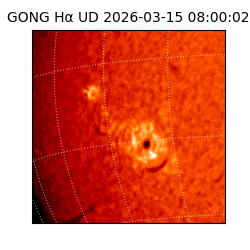 gong - 2026-03-15T08:00:02