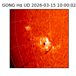 gong - 2026-03-15T10:00:02