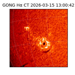 gong - 2026-03-15T13:00:42